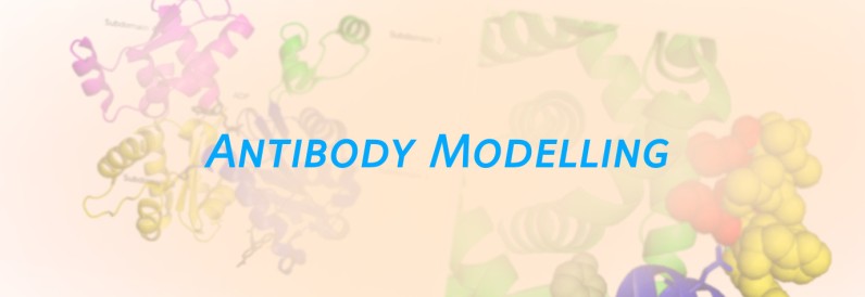 antibodymodellingbanner